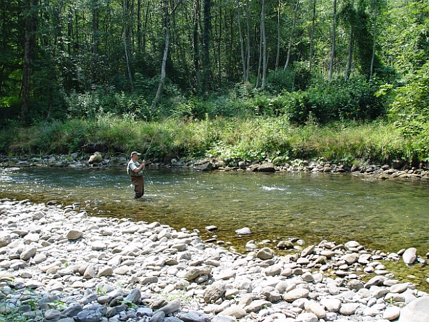 Kupica River